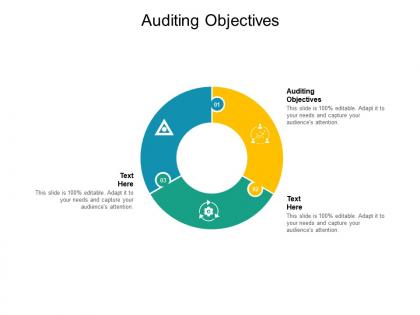 Auditing objectives ppt powerpoint presentation model slide download cpb