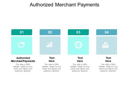 Authorized merchant payments ppt powerpoint presentation outline background designs cpb
