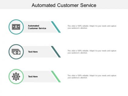 Automated customer service ppt powerpoint presentation file gallery cpb