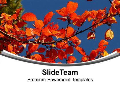 Autumn with flowers theme background powerpoint templates ppt themes and graphics 0513