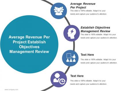 Average revenue per project establish objectives management review
