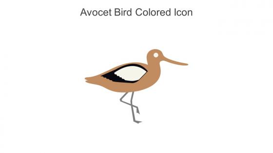 Avocet Bird Colored Icon In Powerpoint Pptx Png And Editable Eps Format