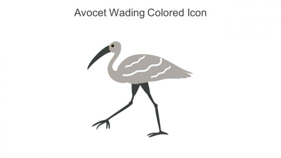 Avocet Wading Colored Icon In Powerpoint Pptx Png And Editable Eps Format