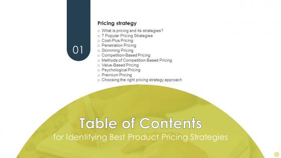 B149 Table Of Contents For Identifying Best Product Pricing Strategies