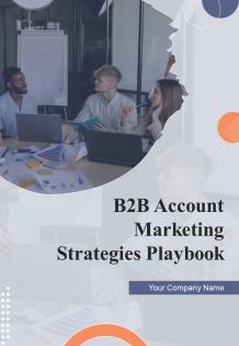 B2B Account Marketing Strategies Playbook Report Sample Example Document