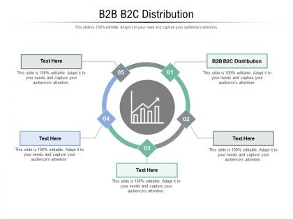 B2b b2c distribution ppt powerpoint presentation summary sample cpb