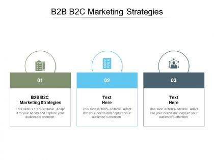 B2b b2c marketing strategies ppt powerpoint presentation pictures slides cpb