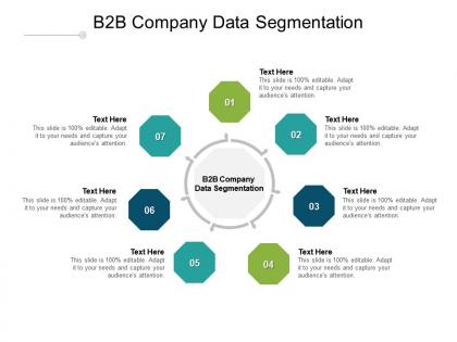 B2b company data segmentation ppt powerpoint presentation outline layout cpb