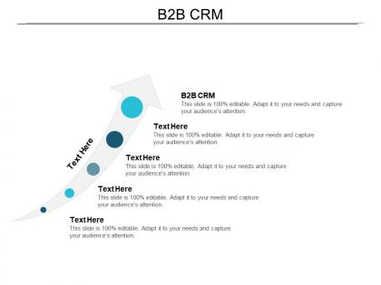 B2b crm ppt powerpoint presentation infographic template smartart cpb