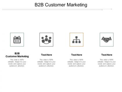 B2b customer marketing ppt powerpoint presentation file summary cpb