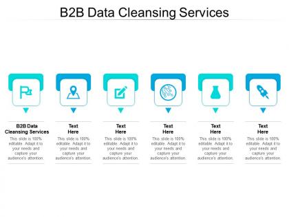B2b data cleansing services ppt powerpoint presentation professional graphics example cpb
