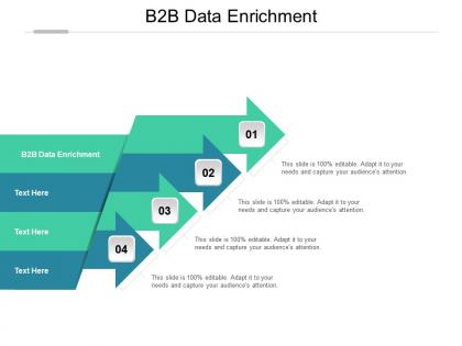 B2b data enrichment ppt powerpoint presentation visual aids backgrounds cpb