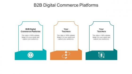 B2b digital commerce platforms ppt powerpoint presentation show examples cpb