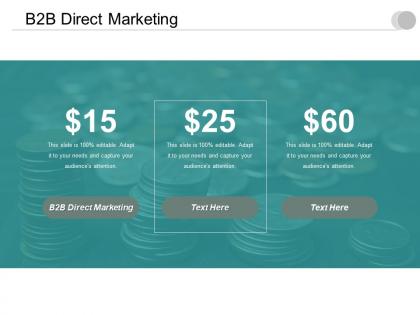 B2b direct marketing ppt powerpoint presentation gallery vector cpb
