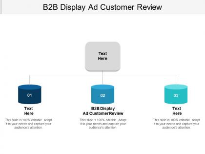 B2b display ad customer review ppt powerpoint presentation infographics background cpb
