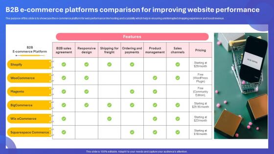 B2B E Commerce Platforms Comparison For Improving Website Performance