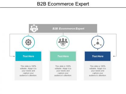 B2b ecommerce expert ppt powerpoint presentation file format cpb