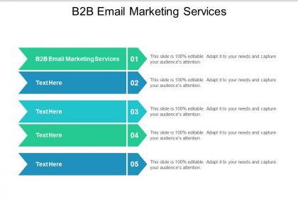 B2b email marketing services ppt powerpoint presentation gallery layouts cpb