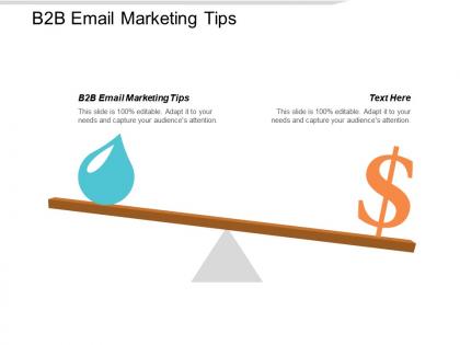 B2b email marketing tips ppt powerpoint presentation slides guidelines cpb