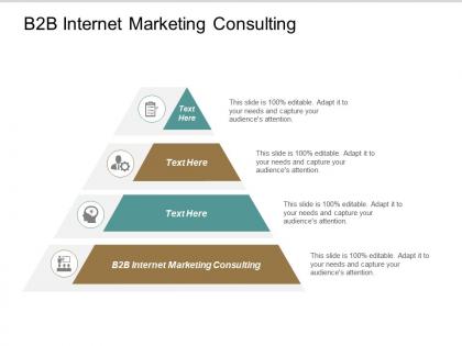 B2b internet marketing consulting ppt powerpoint presentation file model cpb