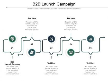 B2b launch campaign ppt powerpoint presentation professional cpb