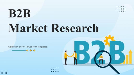 B2B Market Research Powerpoint Ppt Template Bundles Survey