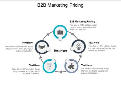 B2b marketing pricing ppt powerpoint presentation styles slide portrait cpb