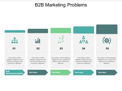 B2b marketing problems ppt powerpoint presentation model aids cpb