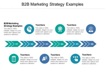 B2b marketing strategy examples ppt powerpoint presentation icon summary cpb