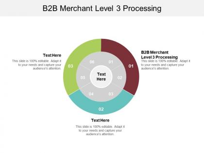 B2b merchant level 3 processing ppt powerpoint presentation layouts influencers cpb