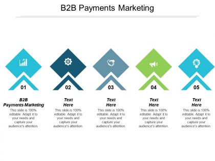 B2b payments marketing ppt powerpoint presentation gallery ideas cpb