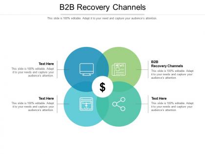 B2b recovery channels ppt powerpoint presentation file example file cpb
