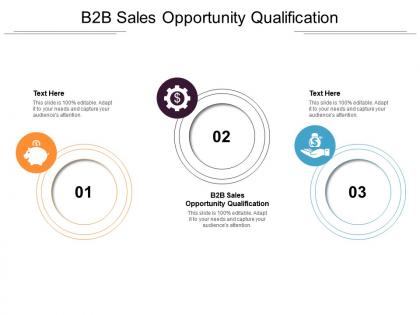 B2b sales opportunity qualification ppt powerpoint presentation styles pictures cpb
