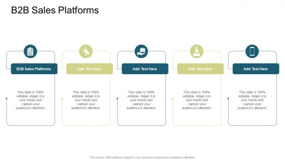 B2b Sales Platforms In Powerpoint And Google Slides Cpb