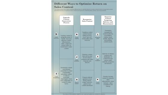 B2B Sales Playbook Different Ways To Optimize Return On One Pager Sample Example Document