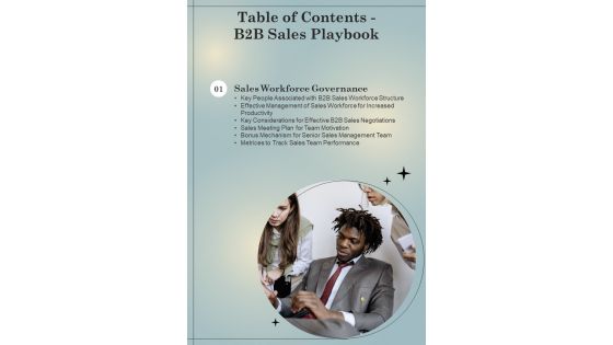 B2B Sales Playbook Table Of Contents One Pager Sample Example Document
