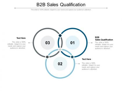 B2b sales qualification ppt powerpoint presentation layouts file formats cpb
