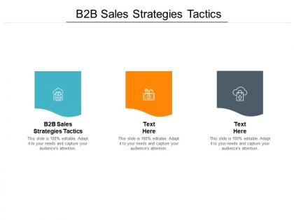 B2b sales strategies tactics ppt powerpoint presentation styles show cpb