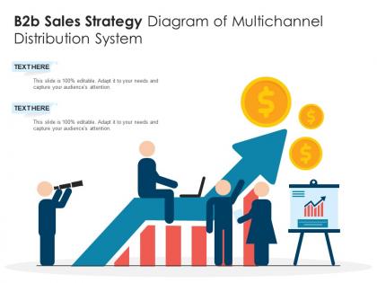 B2b sales strategy diagram of multichannel distribution system infographic template