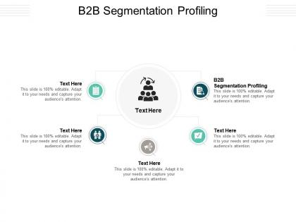 B2b segmentation profiling ppt powerpoint presentation gallery display cpb