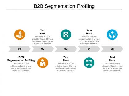 B2b segmentation profiling ppt powerpoint presentation icon aids cpb