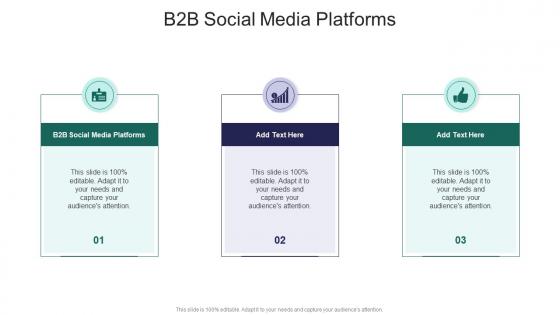 B2B Social Media Platforms In Powerpoint And Google Slides Cpb