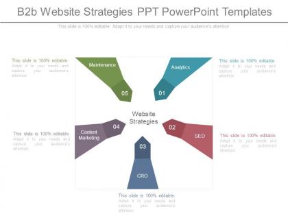 B2b website strategies ppt powerpoint templates