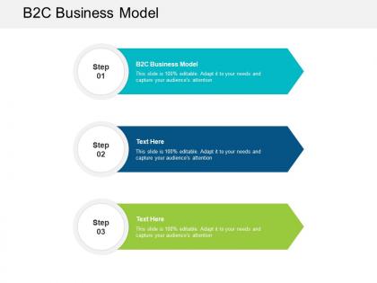 B2c business model ppt powerpoint presentation professional vector cpb