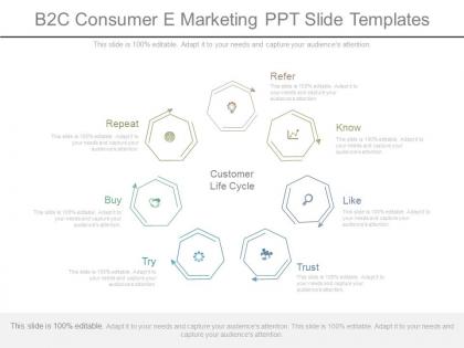 B2c consumer e marketing ppt slide templates