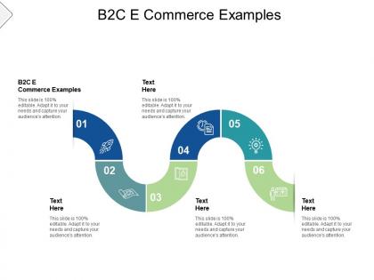 B2c e commerce examples ppt powerpoint presentation ideas outline cpb