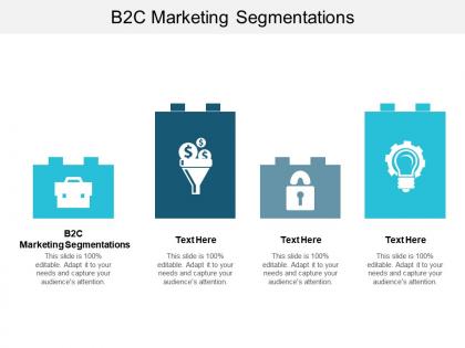 B2c marketing segmentations ppt powerpoint presentation model show cpb