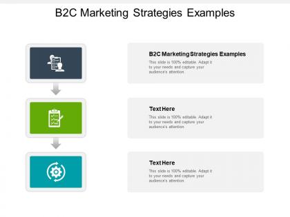 B2c marketing strategies examples ppt powerpoint presentation infographic template infographic cpb