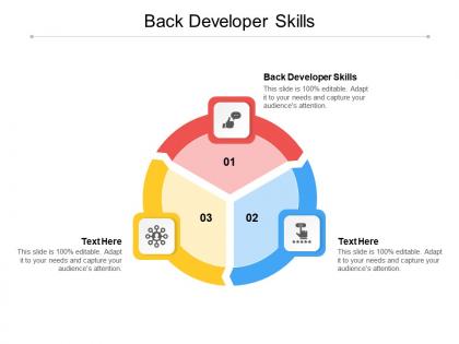 Back developer skills ppt powerpoint presentation inspiration designs download cpb