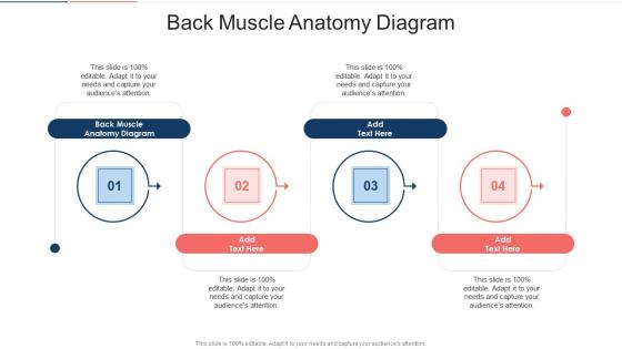 Back Muscle Anatomy Diagram In Powerpoint And Google Slides Cpb